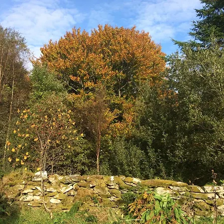 Vakantiehuis Sanctuary Nestled In Nature